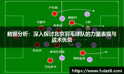数据分析：深入探讨北京羽毛球队的力量表现与战术优势